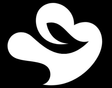 STELLER GOODS LLC